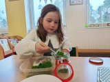 MŠ Hlavatce - Projekt ZDRAVÁ 5